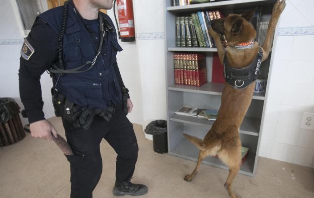 La Unidad Canina De La Polic A Local De Paterna Crece Y Se Sit A A La